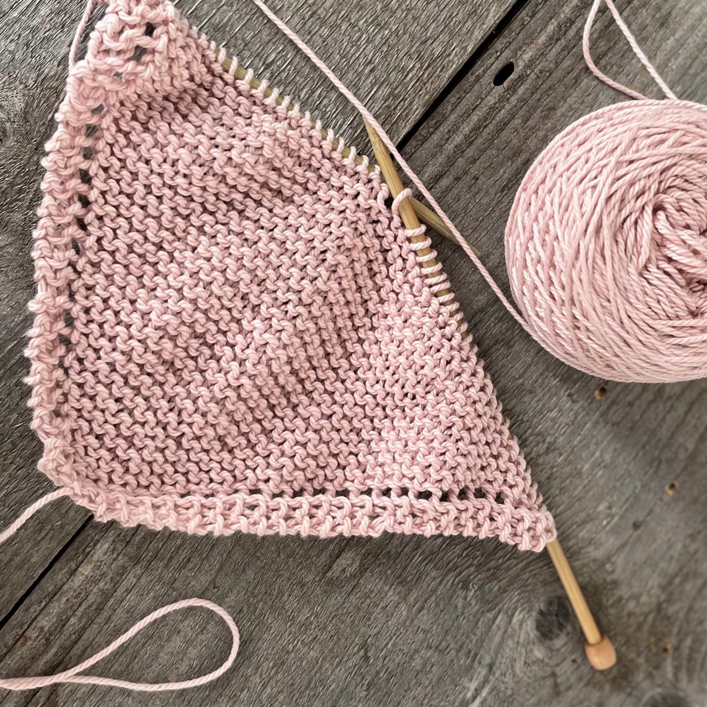 Beginning Knitting