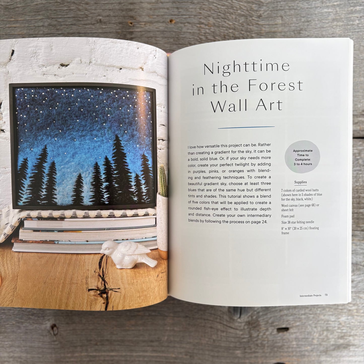 Painting with Wool: 16 Artful Projects to Needle Felt